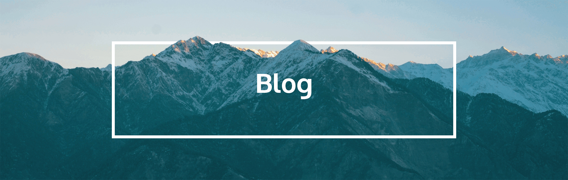 Blog