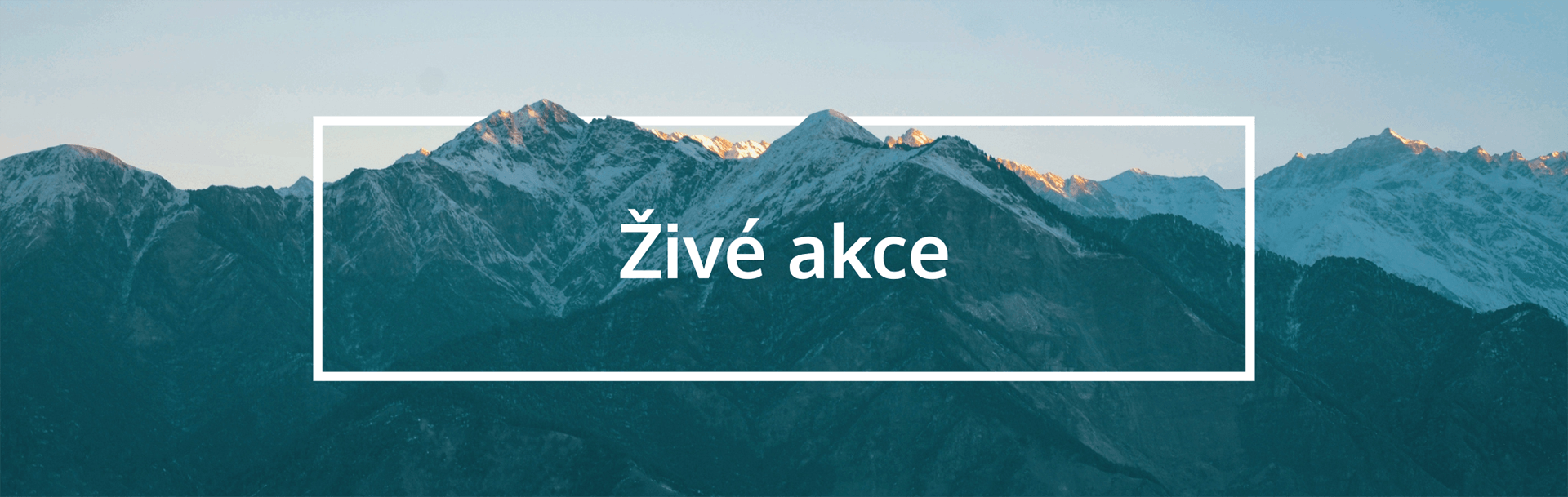 Živé akce